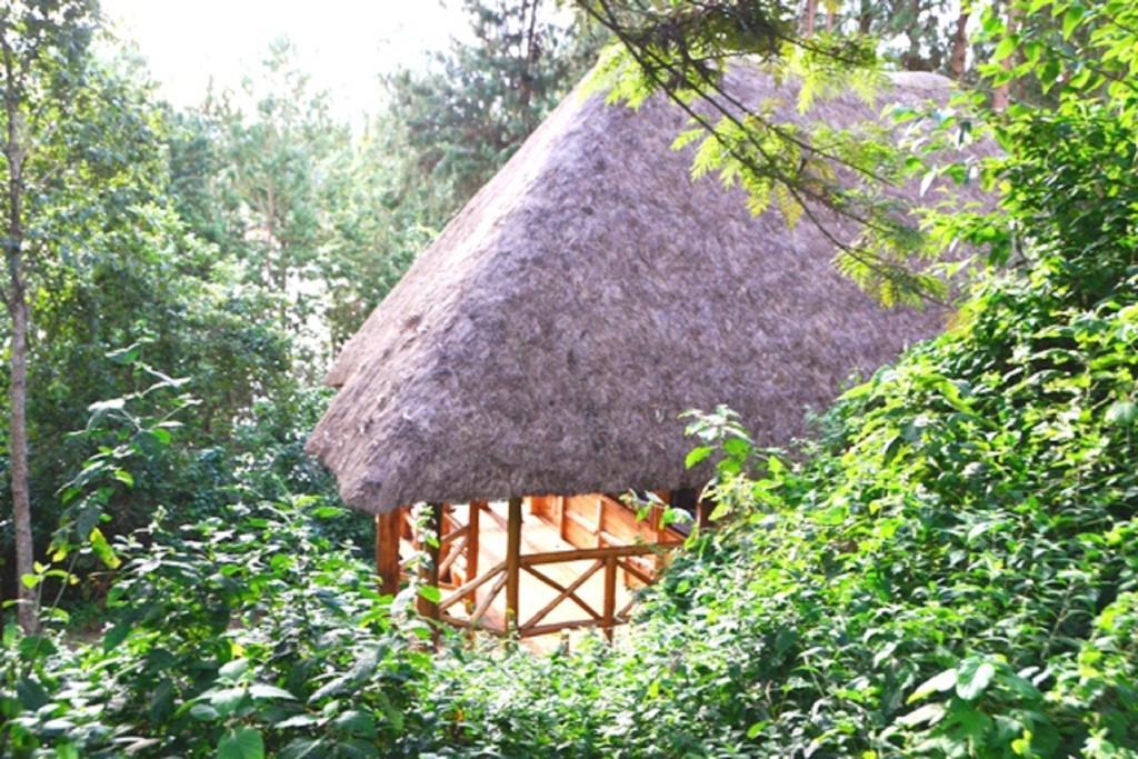 Lake Bunyonyi Eco Resort Chabahinga Buitenkant foto