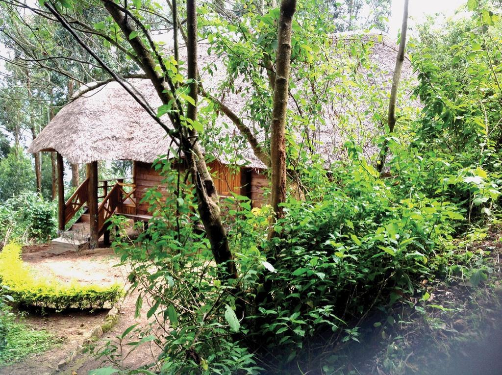 Lake Bunyonyi Eco Resort Chabahinga Buitenkant foto